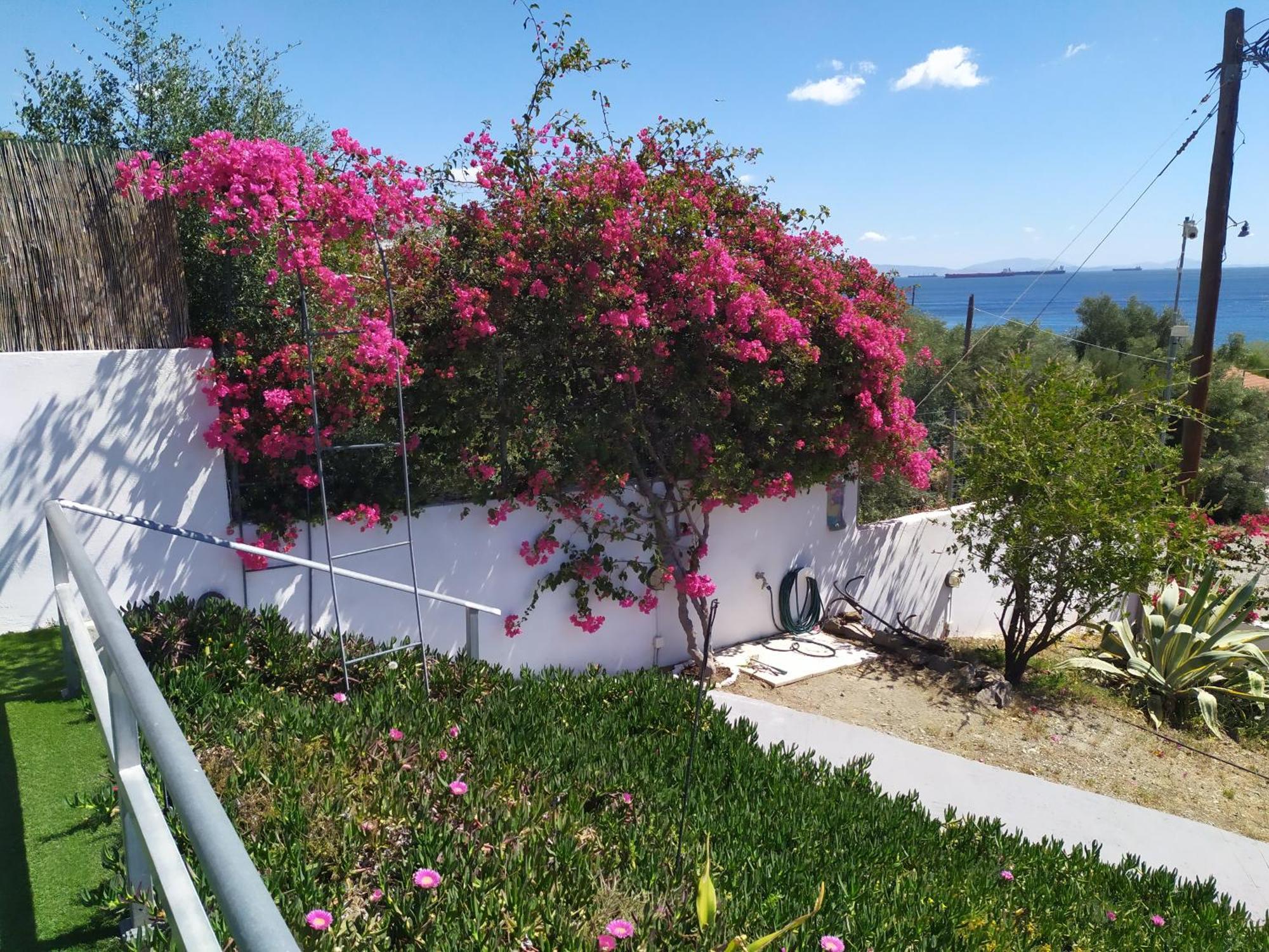 Thalassa Panayía Exterior foto